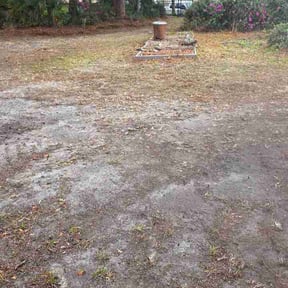 Leaf Removal by Vero one landscaping reviewed on May 5, 2026