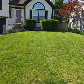 residential landscaping by Stallman&#039;s Lawn and Landscaping reviewed on November 18, 2025