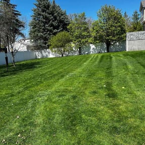 yard maintenance by Fischer Landscape Design and Lawn Maintenance reviewed on November 24, 2025