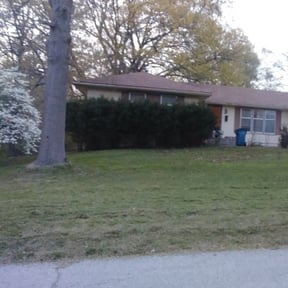 Leaf Removal by Harry&#039;s Champion Landscaping reviewed on September 20, 2025