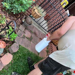 Flower Bed Weeding by Bill's Lawn Care reviewed on June 18, 2026