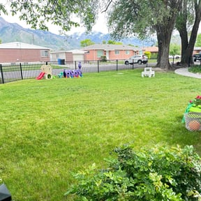 landscaping services by 4 seasons landscaping and snow removal reviewed on August 15, 2025