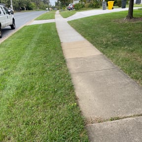 Bush Trimming by Willie Lawn Care and More LLC reviewed on August 15, 2025