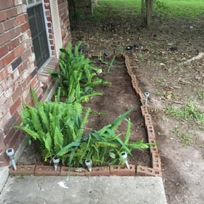Flower Bed Weeding by Hall Right!!! reviewed on August 14, 2025