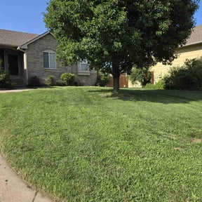 grass cutting by Olivia Munoz reviewed on August 18, 2025