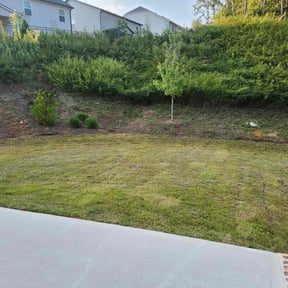 Bush Trimming by Green Light Services reviewed on December 11, 2025