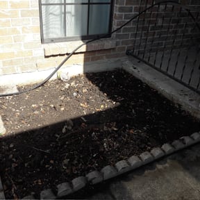Bush Trimming by Lawnscape pros reviewed on August 14, 2025