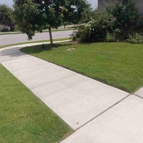 yard care by Alpha Brothers Propery Maintenance reviewed on August 18, 2025