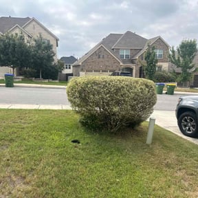 Bush Trimming by Premium Design Landscaping Inc reviewed on November 19, 2025