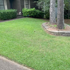 turf care by Lincoln Landscape reviewed on March 12, 2024