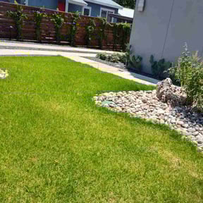 yard work by C.Q.C lawn care reviewed on August 15, 2025