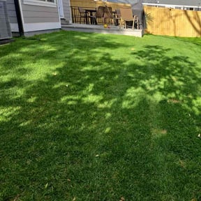 yard work by Daniel campos reviewed on November 18, 2025