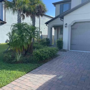 Bush Trimming by Lawnteck reviewed on September 12, 2023