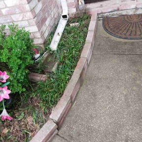 Flower Bed Weeding by R&amp;N services of ocala fl llc reviewed on November 6, 2025