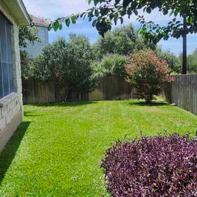 yard service by Pristine Properties LHS reviewed on January 1, 2026