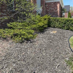 Flower Bed Weeding by 5280 Lawns Llc reviewed on April 28, 2026