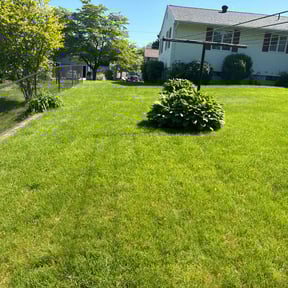 lawn service by N.A.L Landscaping and Services LLC reviewed on August 16, 2025