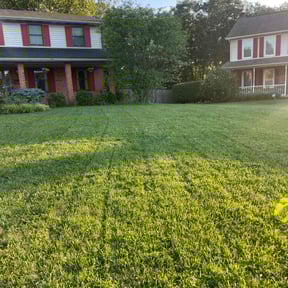 yard maintenance by Mr. Larrys Yard Maintenance LLC reviewed on May 28, 2022