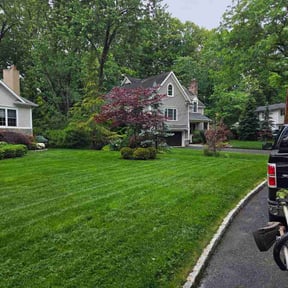 Bush Trimming by Ciara Landscaping reviewed on July 26, 2026