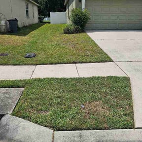 Leaf Removal by Mareana Lawncare LLC reviewed on June 27, 2026