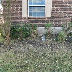 Bush Trimming by Nature&#039;s Canvas reviewed on March 28, 2024