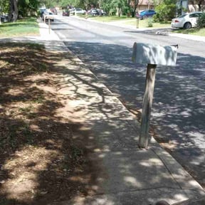 Leaf Removal by Evergreen property services reviewed on May 18, 2025