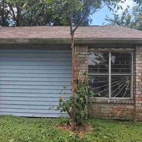 Bush Trimming by DSW Landscaping and junk removal reviewed on May 30, 2026