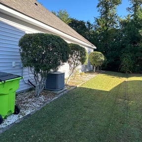 Bush Trimming by K.M.W. Lawn Services &amp; Logistics LLC reviewed on November 19, 2025