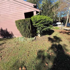 grass cutting by Your Handy Lawn Lady reviewed on May 24, 2025