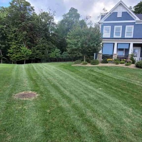 grass maintenance by JH Custom Landscaping reviewed on July 26, 2025