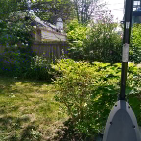 Bush Trimming by John Q Lawn Service & Maintenace LLC reviewed on August 18, 2025