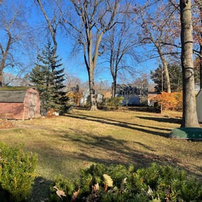 Bush Trimming by RGV LawnCare Services reviewed on November 23, 2025