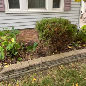 Bush Trimming by Biggs customs reviewed on August 9, 2021