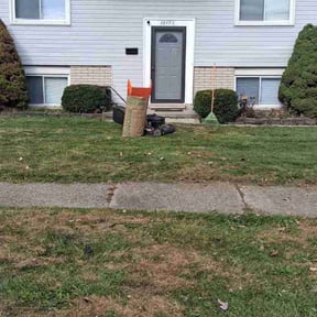 Bush Trimming by Professional landscapers reviewed on December 25, 2025