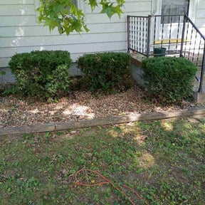 Bush Trimming by Venerable Lawn Care LLC reviewed on July 26, 2026