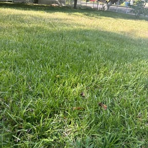lawn care by John's Lawn Maintenance reviewed on September 6, 2023