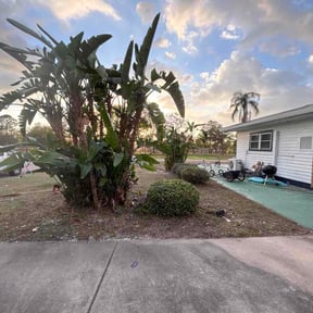 Bush Trimming by Budget Cut Lawn Service reviewed on March 12, 2026