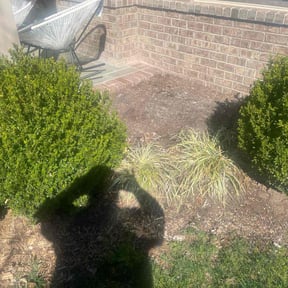Flower Bed Weeding by Caudle Cutz landscaping reviewed on August 17, 2025