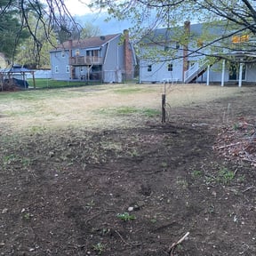 Leaf Removal by Willie&#039;s Mobile Lawn Services reviewed on September 9, 2025