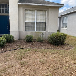 Bush Trimming by Field of Dreams Landscaping reviewed on August 21, 2025