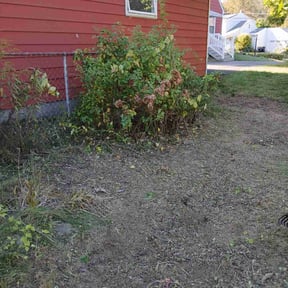 Leaf Removal by Moore’s Mowing &amp; Lawn Care reviewed on October 20, 2025