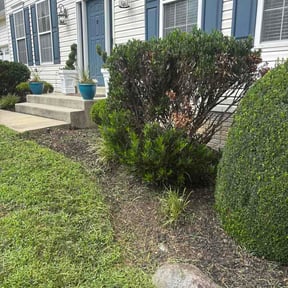 Flower Bed Weeding by Hl landscaping reviewed on August 16, 2026
