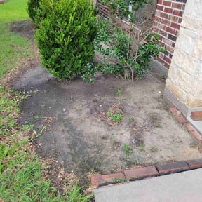 Flower Bed Weeding by VOW Services reviewed on August 13, 2025