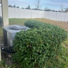 Bush Trimming by Second Glance Landscaping LLC reviewed on August 18, 2025