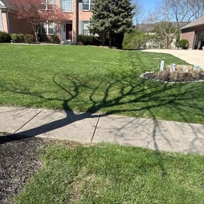 yard care by Andersen landscaping &amp; Design reviewed on November 19, 2025