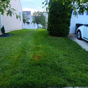 grass cutting by Youniversal Lawnscaping reviewed on September 28, 2023