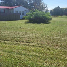 Leaf Removal by Competitive Edge Lawn &amp; Landscaping  reviewed on June 27, 2022