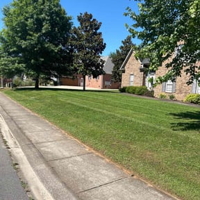 yard service by M D CUSTOM SERVICE SOLUTIONS reviewed on August 18, 2025