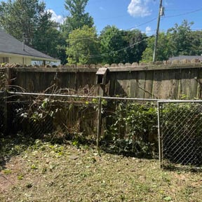 Bush Trimming by Rough Cuts reviewed on June 30, 2026