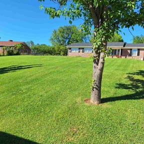 landscaping by Quarter Acre 2 reviewed on November 18, 2025